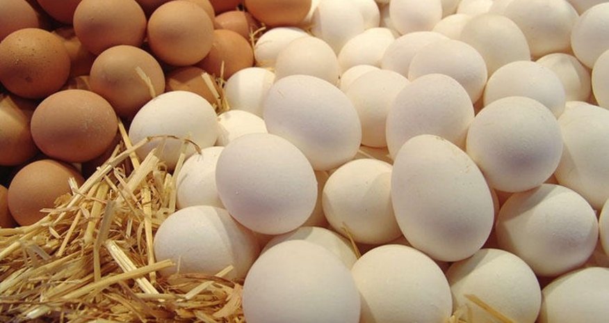 Russia receives 13.3 million eggs from Azerbaijan and Türkiye Russia receives 13.3 million eggs from Azerbaijan and Türkiye