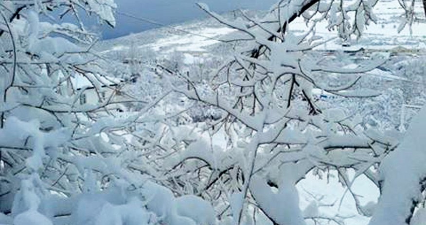 Sabahın hava proqnozu açıqlanıb Sabahın hava proqnozu açıqlanıb