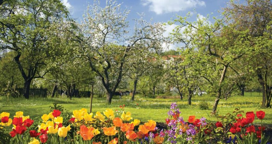 Sabahın hava proqnozu açıqlanıb Sabahın hava proqnozu açıqlanıb