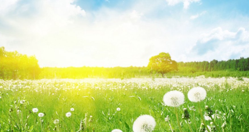 Azerbaijan weather forecast for April 26 Azerbaijan weather forecast for April 26