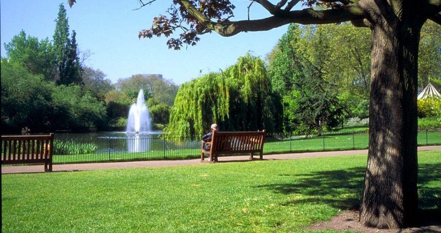 Bakının bu rayonunda fərdi evlər köçürüləcək - Yerində park salınacaq Bakının bu rayonunda fərdi evlər köçürüləcək - Yerində park salınacaq