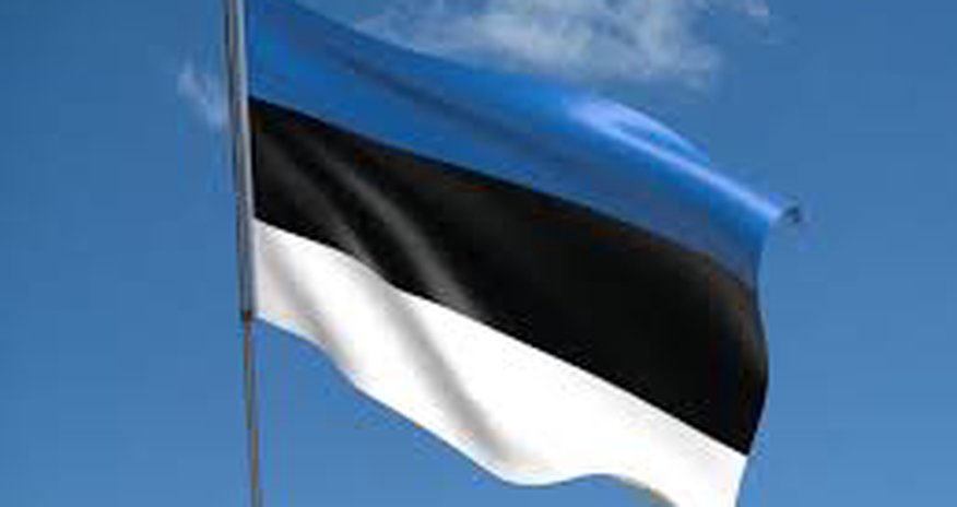 Estoniya bu dövlətlə sərhəddə hasar çəkəcək Estoniya bu dövlətlə sərhəddə hasar çəkəcək