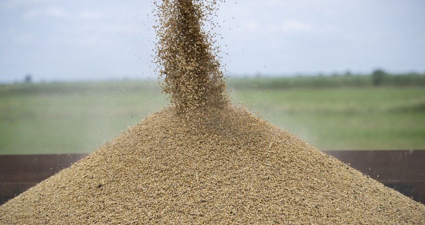 EU to allocate 7.8M euros to repair part of “grain corridor” with Ukraine in Moldova EU to allocate 7.8M euros to repair part of “grain corridor” with Ukraine in Moldova
