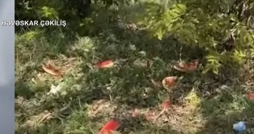 Azad edilmiş əraziləri çirkləndirənlərə çağırış - Video Azad edilmiş əraziləri çirkləndirənlərə çağırış - Video