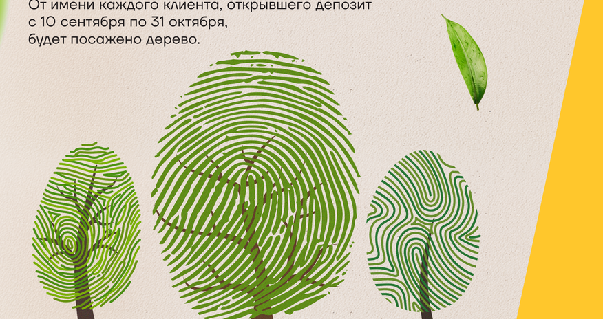 Вклад в Yelo Bank — вклад в зелёный Баку Вклад в Yelo Bank — вклад в зелёный Баку