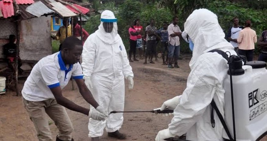 WHO warns about risk of new global epidemic WHO warns about risk of new global epidemic