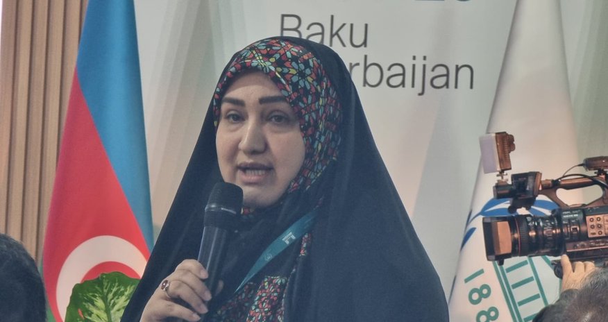 Bu pulları havanı çirkəndirlənlər verməlidir - İranlı ekoloq Bu pulları havanı çirkəndirlənlər verməlidir - İranlı ekoloq