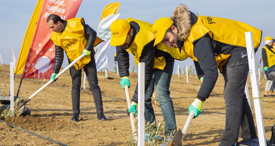 Yelo Bank empowers nature: a tree for each customer Yelo Bank empowers nature: a tree for each customer