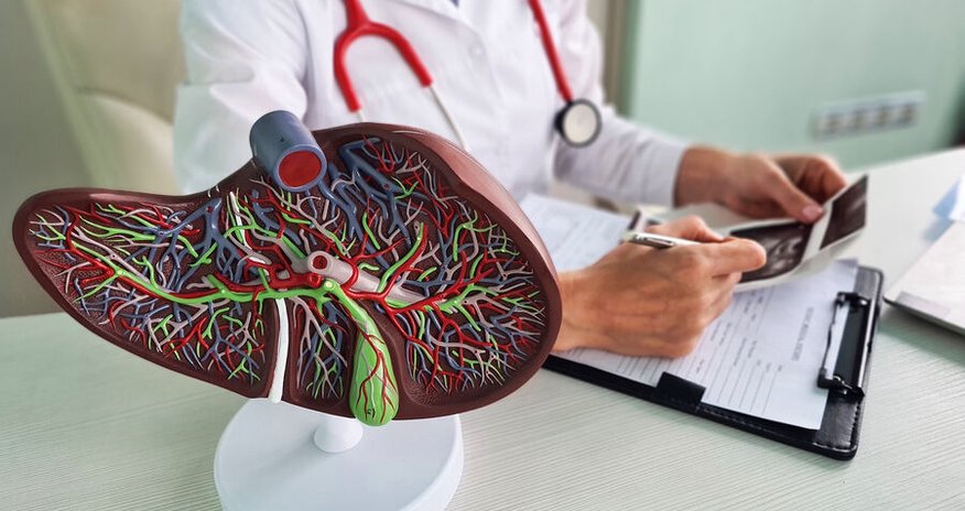 Hepatit virusunun mənşəyi məlum oldu Hepatit virusunun mənşəyi məlum oldu
