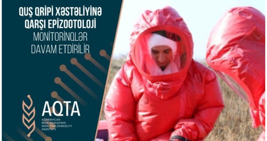 Quş qripinə qarşı növbəti epizootoloji monitorinqlər keçiriləcək Quş qripinə qarşı növbəti epizootoloji monitorinqlər keçiriləcək