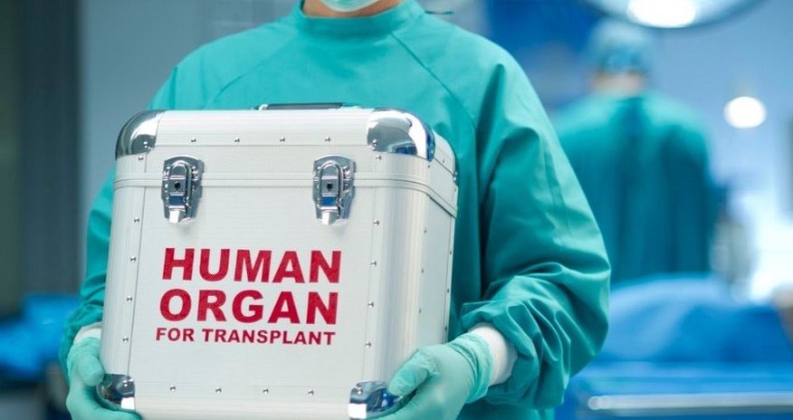 Ümid edirik meyitdən donor köçürülməsi davamlı olacaq - Rəşad Mahmudov Ümid edirik meyitdən donor köçürülməsi davamlı olacaq - Rəşad Mahmudov