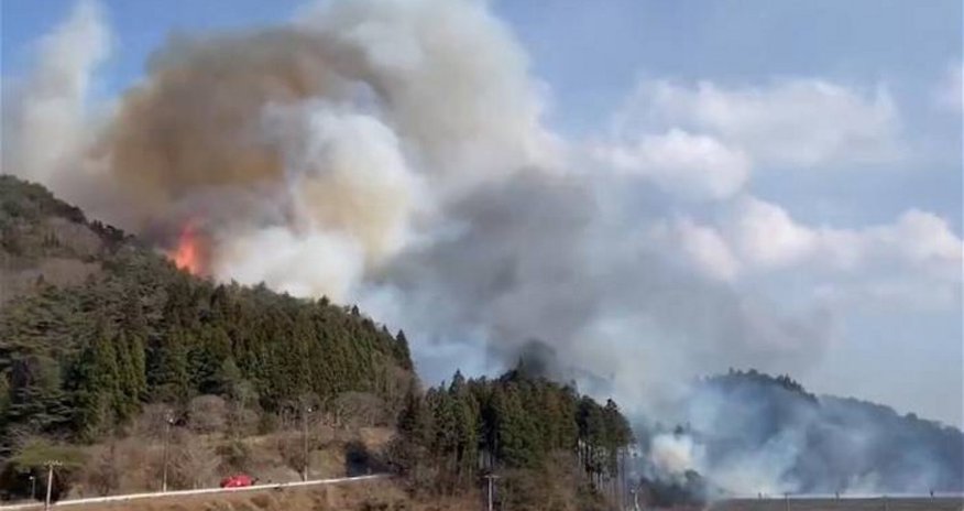В Японии лесные пожары охватили 1,8 тыс. га В Японии лесные пожары охватили 1,8 тыс. га