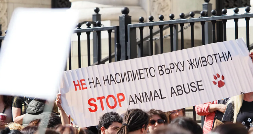 Bolqarıstanda heyvanların müdafiəsi ilə bağlı kütləvi etirazlar keçirilib Bolqarıstanda heyvanların müdafiəsi ilə bağlı kütləvi etirazlar keçirilib