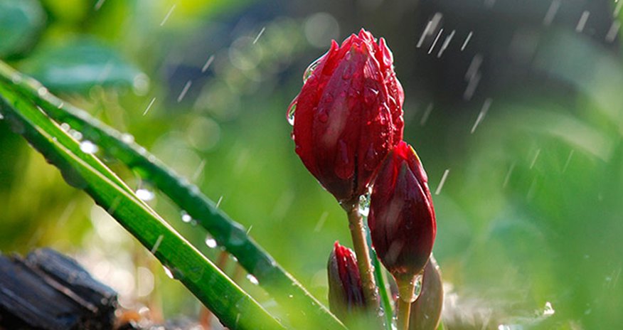 Hava ilə bağlı növbəti xəbərdarlıq edilib Hava ilə bağlı növbəti xəbərdarlıq edilib