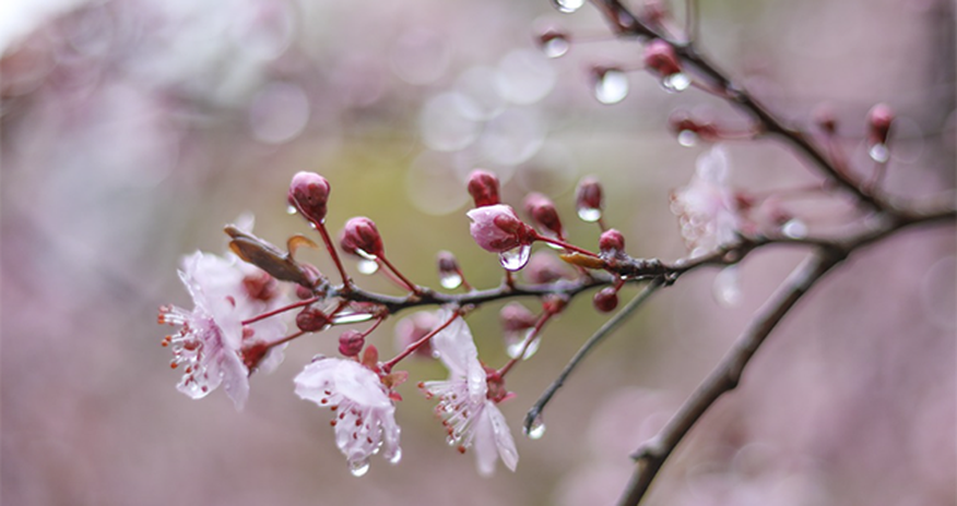 Azerbaijan weather forecast for April 21 Azerbaijan weather forecast for April 21