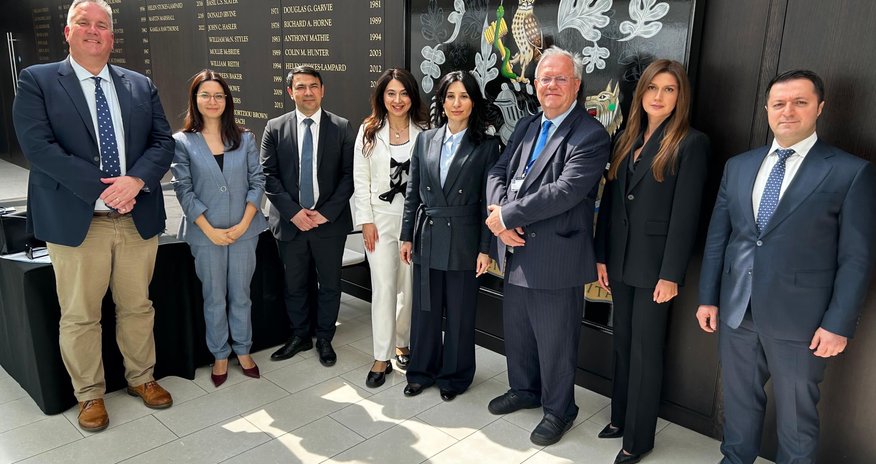 Azerbaijani healthcare delegation begins visit to the UK Azerbaijani healthcare delegation begins visit to the UK