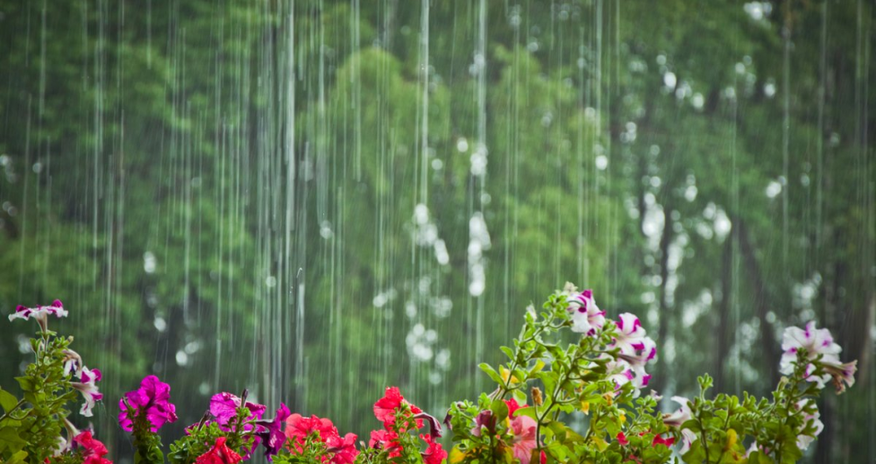 Yağıntılı və küləkli hava şəraiti davam edir - FAKTİKİ HAVA Yağıntılı və küləkli hava şəraiti davam edir - FAKTİKİ HAVA