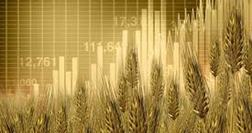 Wheat prices hit a nine-month low on improved crop outlook Wheat prices hit a nine-month low on improved crop outlook