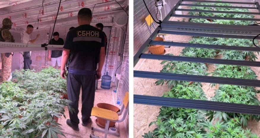 В Бишкеке выявлена нарколаборатория под прикрытием частного детсада В Бишкеке выявлена нарколаборатория под прикрытием частного детсада