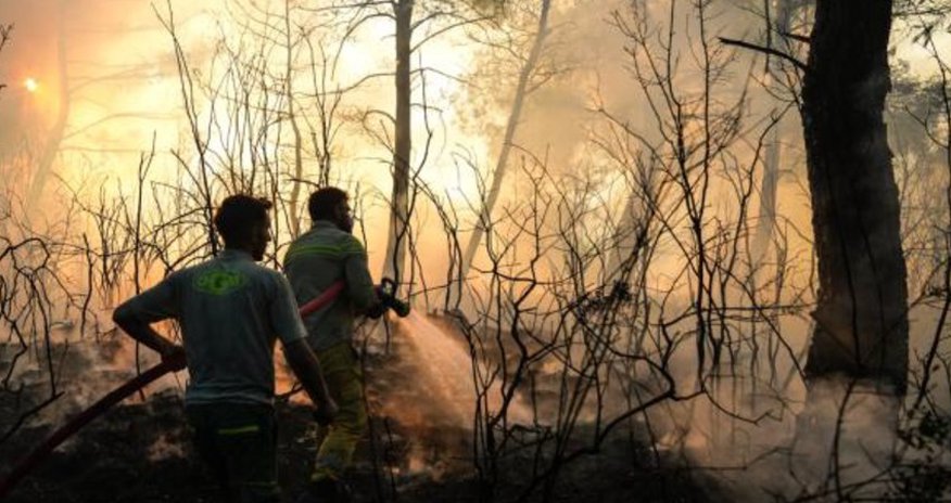 В Турции по факту 65 лесных пожаров задержали 44 человека В Турции по факту 65 лесных пожаров задержали 44 человека