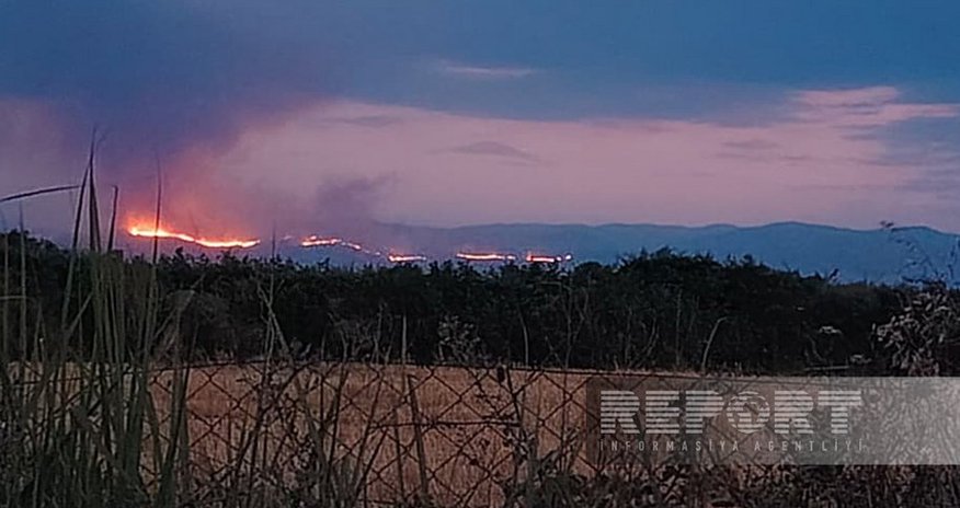 Лесной пожар в Агдере из-за ветра распространился на территорию Агдама Лесной пожар в Агдере из-за ветра распространился на территорию Агдама