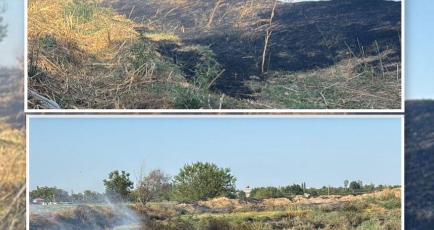 Ağdamda yanğın törətməkdə şübhəli bilinən şəxs saxlanılıb Ağdamda yanğın törətməkdə şübhəli bilinən şəxs saxlanılıb