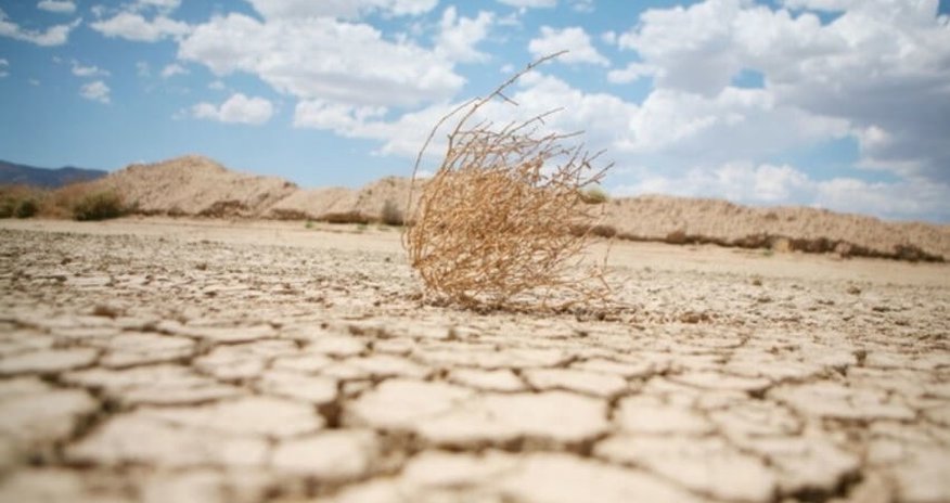 Armenia, Georgia hit by record drought Armenia, Georgia hit by record drought