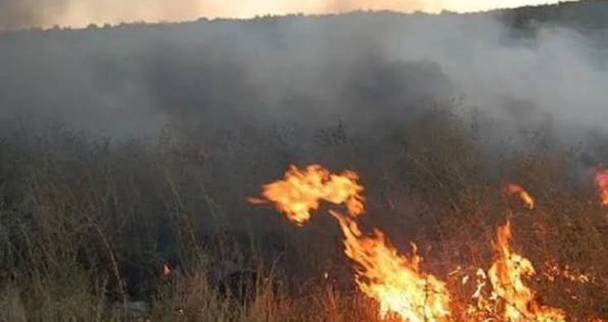 В Гызылагачском национальном парке вспыхнул пожар В Гызылагачском национальном парке вспыхнул пожар