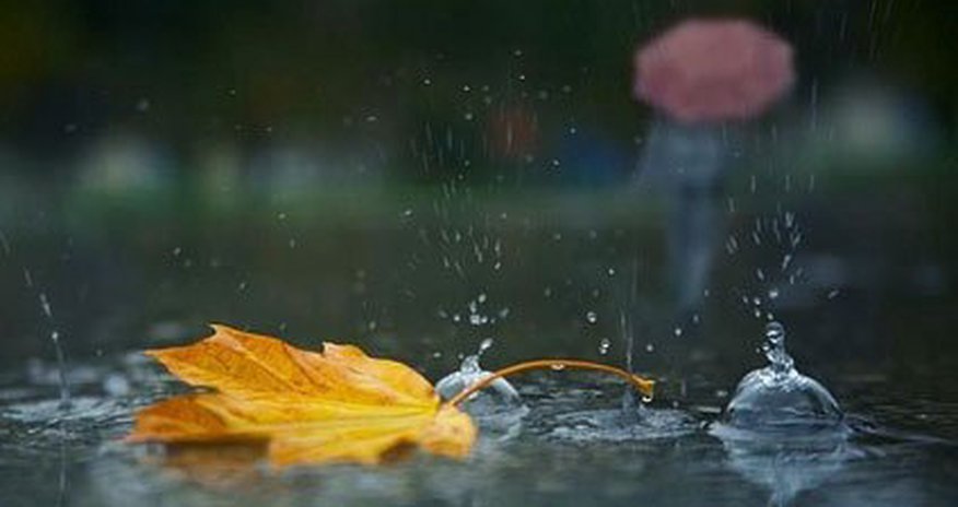 Faktiki hava açıqlanıb - Yenilənib Faktiki hava açıqlanıb - Yenilənib