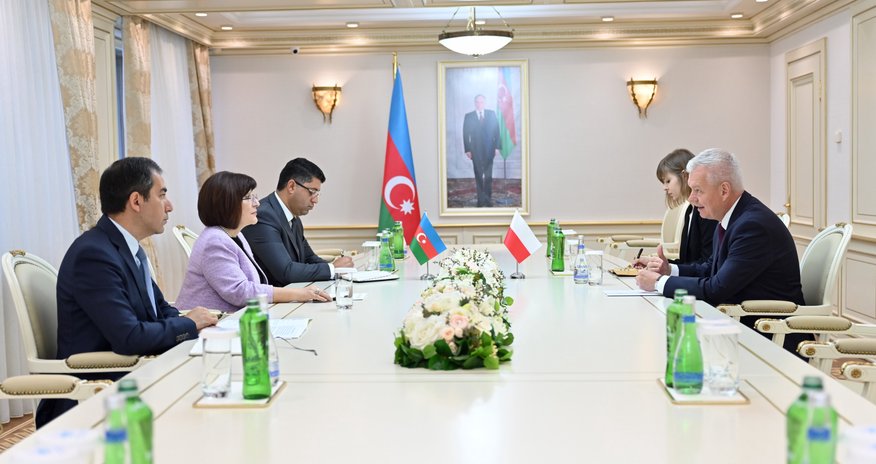 Sahibə Qafarova Polşanın Azərbaycandakı səfiri ilə görüşüb Sahibə Qafarova Polşanın Azərbaycandakı səfiri ilə görüşüb