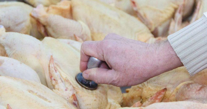 В Азербайджане мясо и птица будут продаваться только с ветеринарным штампом В Азербайджане мясо и птица будут продаваться только с ветеринарным штампом