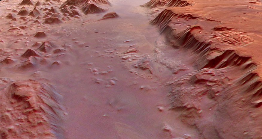NASA предлагает строить марсианские купола из грибов NASA предлагает строить марсианские купола из грибов
