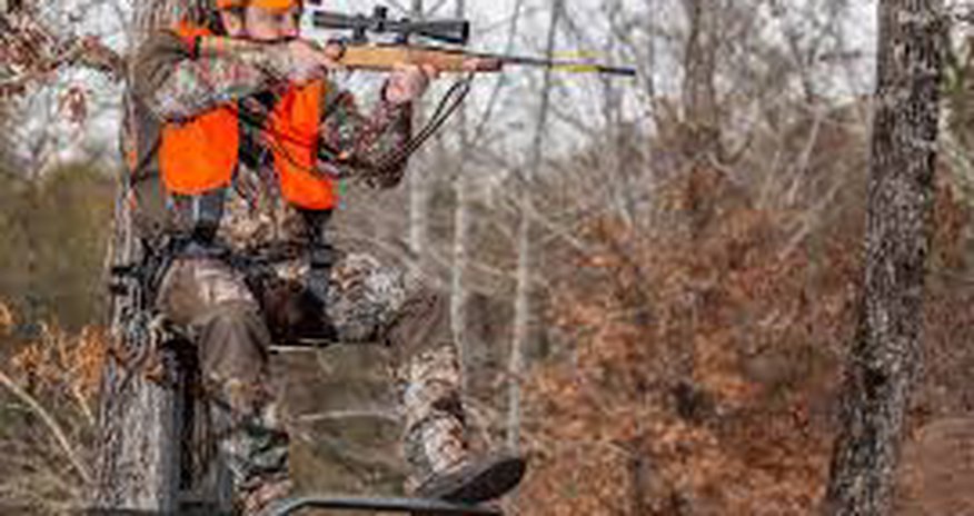 Hunting season opens in Azerbaijan Hunting season opens in Azerbaijan