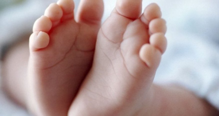 Doqquz ayda doğulan körpələrin sayı açıqlanıb Doqquz ayda doğulan körpələrin sayı açıqlanıb