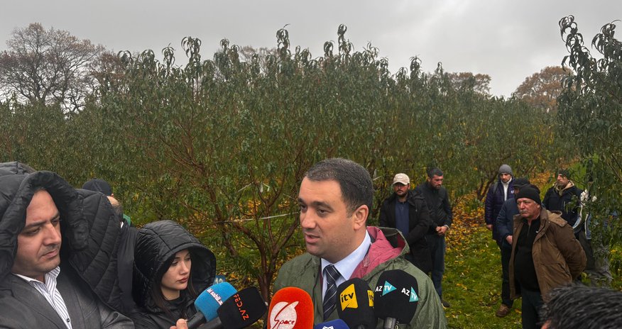 Aqrar Sığorta Fondu 20 milyon manata yaxın zərərin ödənilməsini təmin edib Aqrar Sığorta Fondu 20 milyon manata yaxın zərərin ödənilməsini təmin edib