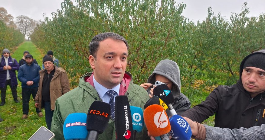 Azərbaycanda quraqlıq sığortası hazırlanır Azərbaycanda quraqlıq sığortası hazırlanır