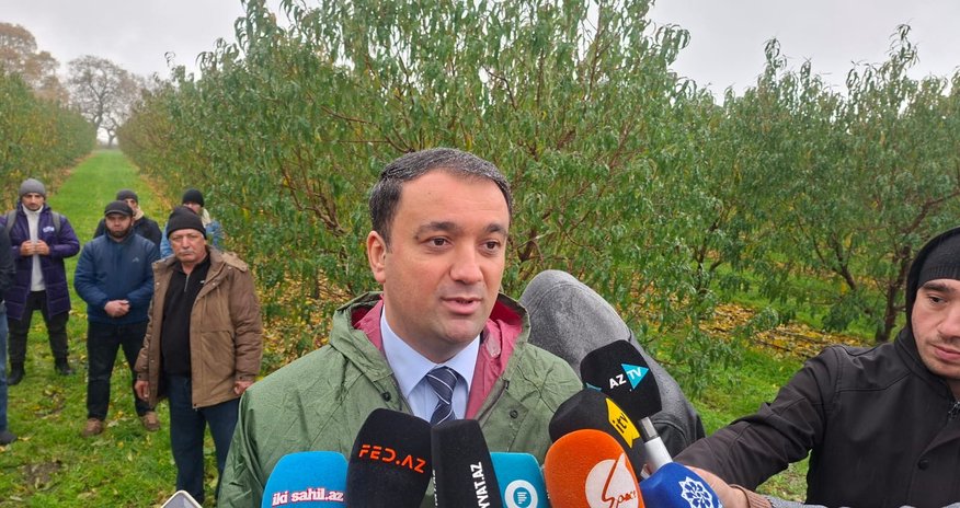 Aqrar Sığorta Fondu: Son iki ilin ən böyük sığorta ödənişi 1,1 milyon manat olub Aqrar Sığorta Fondu: Son iki ilin ən böyük sığorta ödənişi 1,1 milyon manat olub