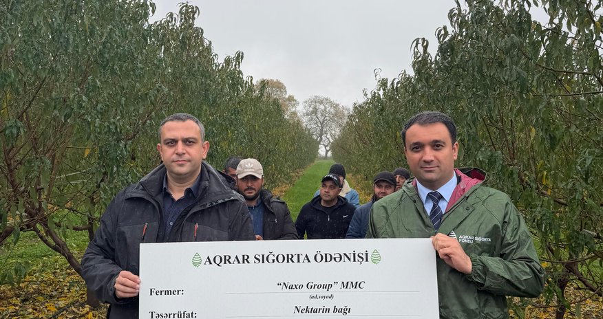 Bu il ölkədə meyvə bağı üzrə 700 min manatdan çox sığorta ödənişi verilib Bu il ölkədə meyvə bağı üzrə 700 min manatdan çox sığorta ödənişi verilib