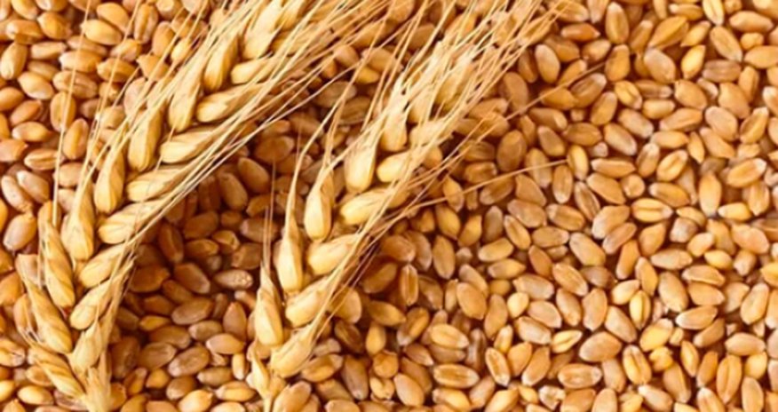 Armenia expects new grain deliveries via Azerbaijan Armenia expects new grain deliveries via Azerbaijan