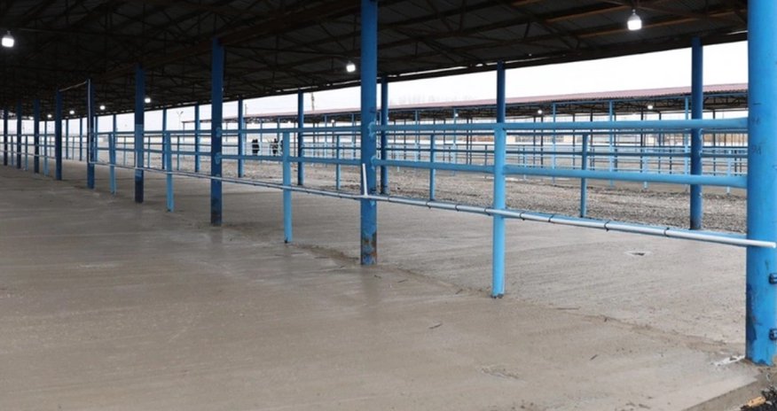 Bərdə heyvan satışı bazarı fəaliyyətini bərpa edib Bərdə heyvan satışı bazarı fəaliyyətini bərpa edib