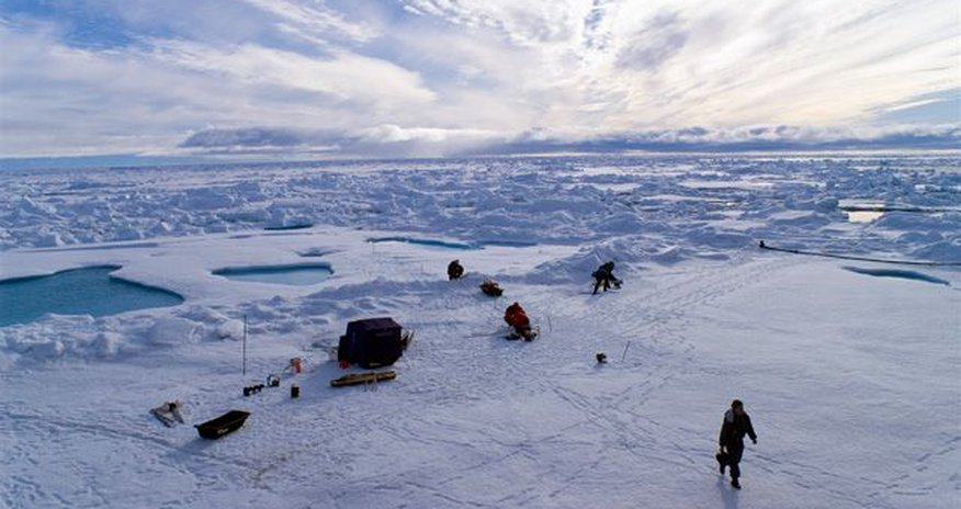NOAA: Температура воздуха в Арктике достигла рекордных показателей NOAA: Температура воздуха в Арктике достигла рекордных показателей