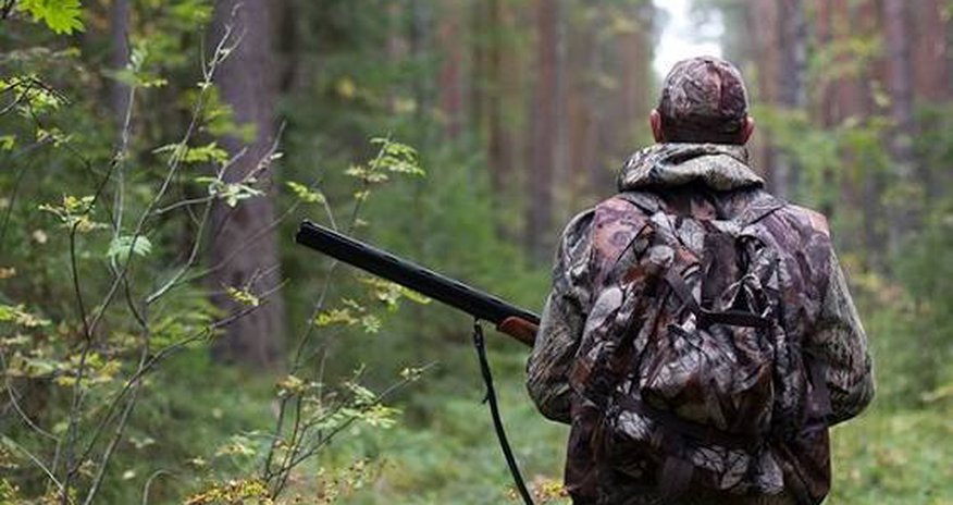 В Азербайджане с 20 декабря открывается охотничий сезон В Азербайджане с 20 декабря открывается охотничий сезон