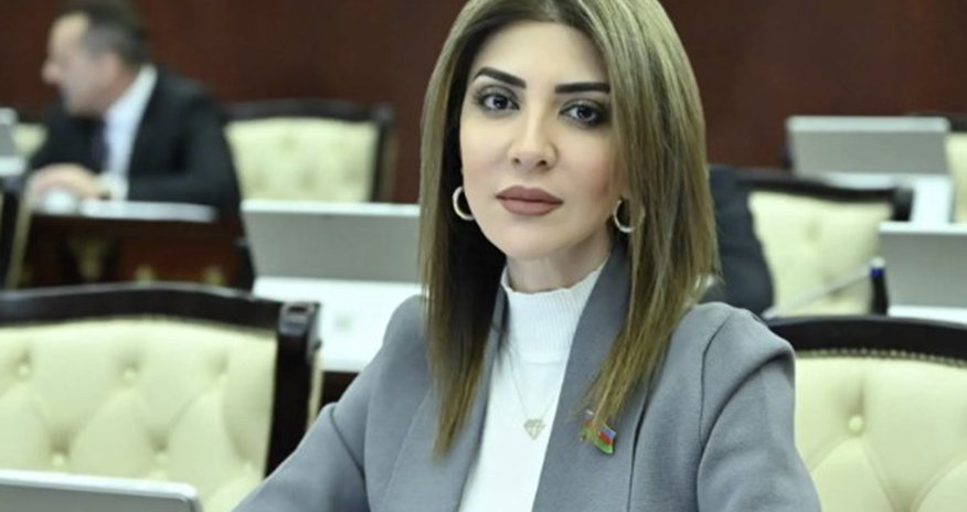 Günay Ağamalı Ana Vətən Partiyasının sədri seçildi Günay Ağamalı Ana Vətən Partiyasının sədri seçildi