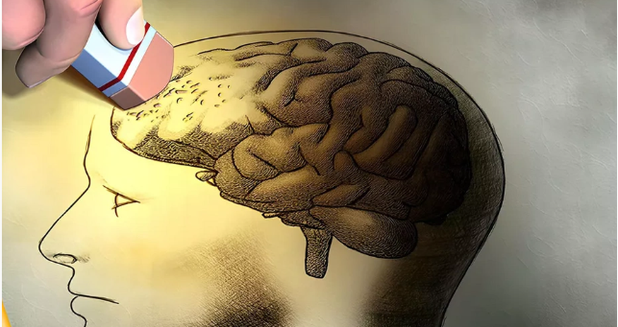 Memory loss not caused by age alone, scientists say Memory loss not caused by age alone, scientists say