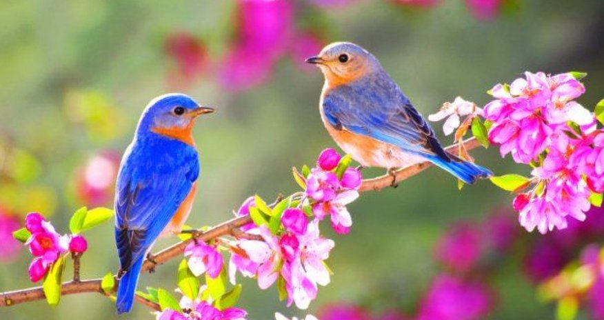 Spring to begin in Azerbaijan on March 20 at 18:45 Spring to begin in Azerbaijan on March 20 at 18:45