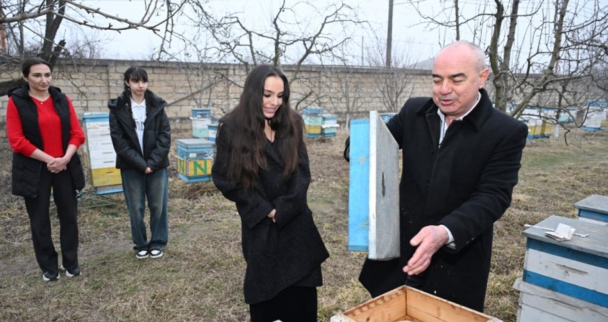 Лейла Алиева побывала в гостях у семьи пчеловода в Губе Лейла Алиева побывала в гостях у семьи пчеловода в Губе