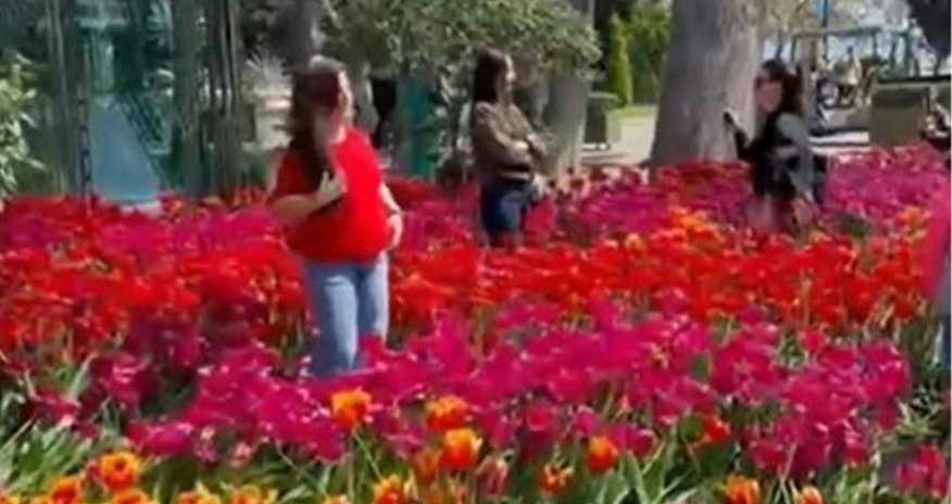 Bulvarda gülləri əzənlər polisə çağırılıb Bulvarda gülləri əzənlər polisə çağırılıb