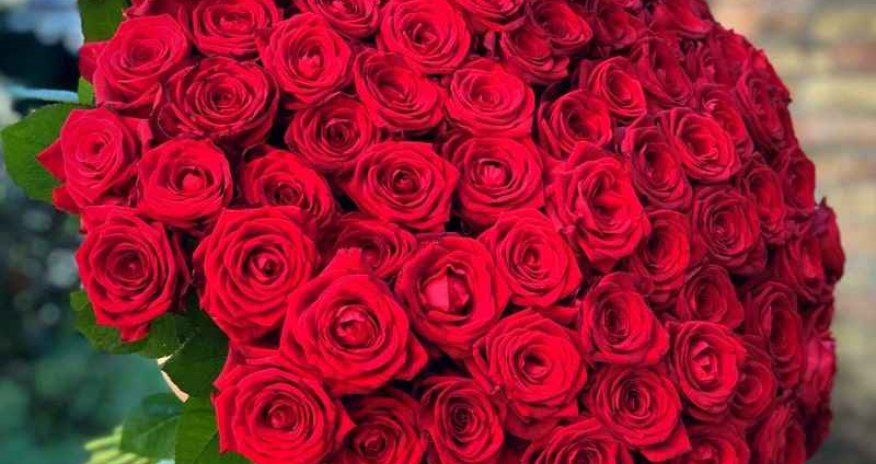 Rose imports from Netherlands recorded as Armenia in trade data — customs Rose imports from Netherlands recorded as Armenia in trade data — customs