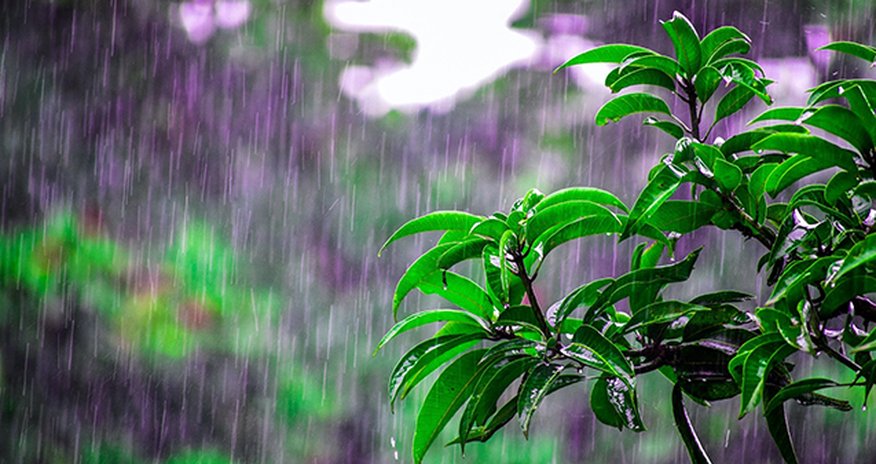 Güclü yağış yağacaq, temperatur kəskin enəcək - Xəbərdarlıq Güclü yağış yağacaq, temperatur kəskin enəcək - Xəbərdarlıq