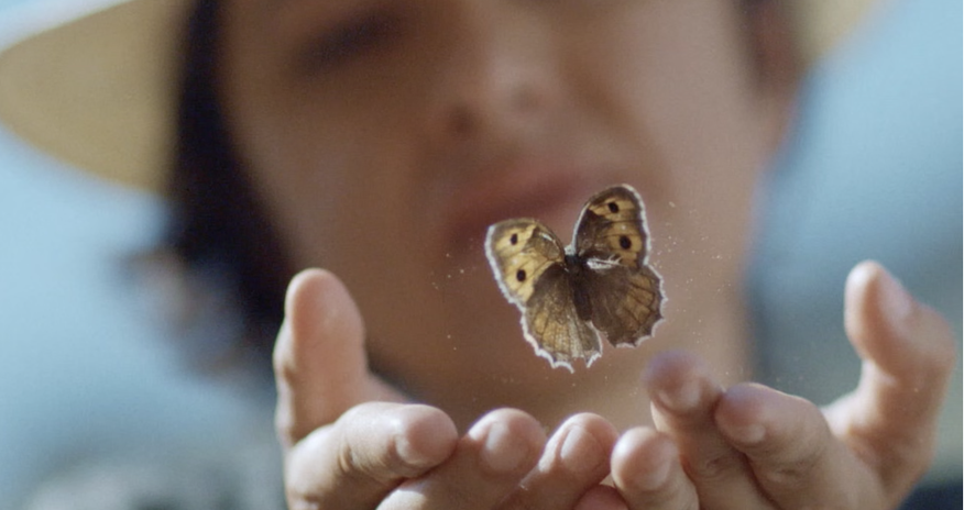 Rena Effendi’s documentary “Searching for Satyrus” opens in London cinemas on April 20 Rena Effendi’s documentary “Searching for Satyrus” opens in London cinemas on April 20